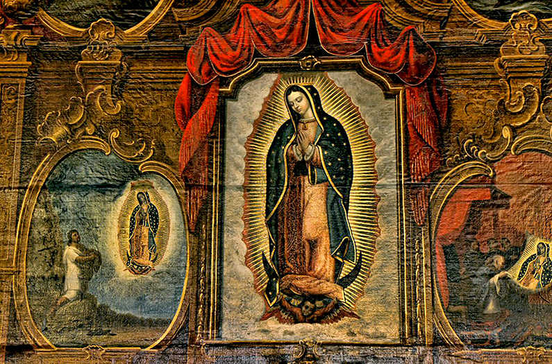 Guadalupe y las ratas del desván
