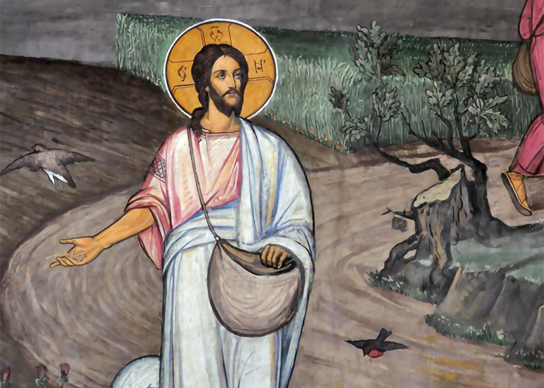 XVI Domingo durante el año: el Reino de los Cielos es