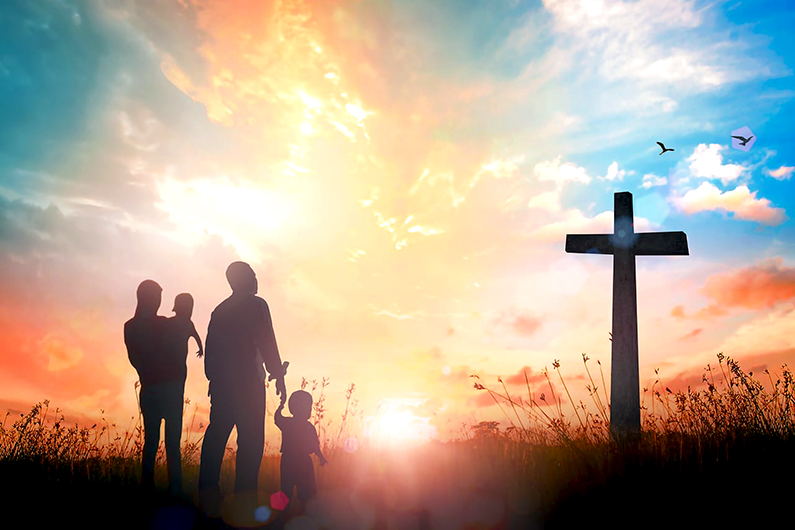 XXVI Domingo durante el año: caminar hacia la cruz